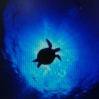 りゅ🌊う🌊 か🌊 (@mhft2qxe6aiasju) 's Twitter Profile Photo