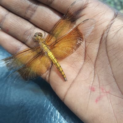 beky43738189's profile picture. 