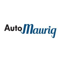 AutoMaurig S.r.l. (@automaurigsrl) 's Twitter Profile