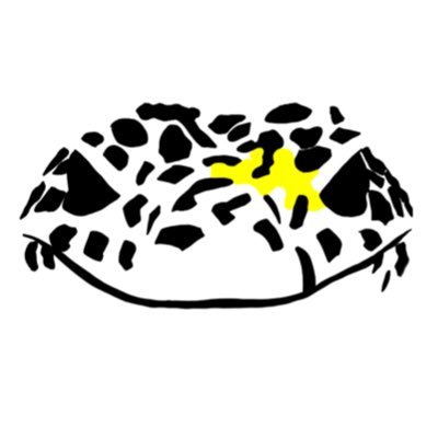はいこ🐢さんのプロフィール画像