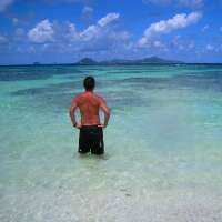 pierrewang's profile picture. 