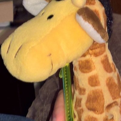 janeybeeci5's profile picture. Christian
Called to pray
Married