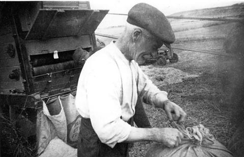 Gong Master, regenerative agriculture, healing. Green councillor