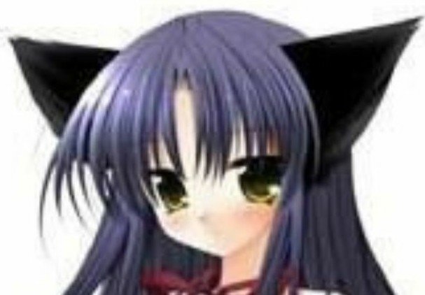 SylC73's profile picture. 