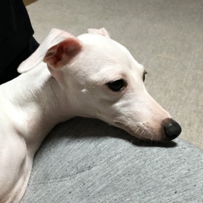 espc7's profile picture. 