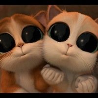 Olena / Scritta (@scritta_art) 's Twitter Profile