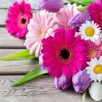 Asif Raihan (@asifrai12604018) 's Twitter Profile