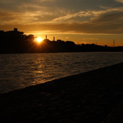 小説家になろうカクヨムにて、コツコツと投稿をしていこうと思います。受験生のため低浮上。無言フォロー失礼致します。