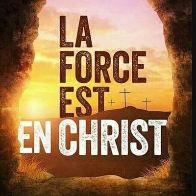 MichelGatoto's profile picture. 