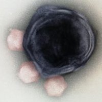 Matthias Fischer (@the_fischer_lab) 's Twitter Profile Photo Matthias Fischer (@the_fischer_lab) 's Twitter Profile Photo