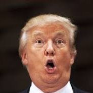 Trump is a moron and a traitor, and his GOP enablers and supporters are no better. You clowns FA, now we all gotta FO. And I always bring receipts. Be warned.