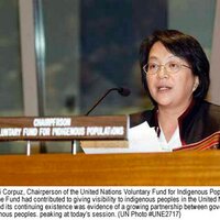 Vicky Tauli-Corpuz (@vtaulicorpuz) 's Twitter Profile Photo Vicky Tauli-Corpuz (@vtaulicorpuz) 's Twitter Profile Photo