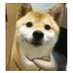 Park Sheep (@parkding1) Twitter profile photo Park Sheep (@parkding1) Twitter profile photo