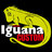 IGUANA CUSTOM