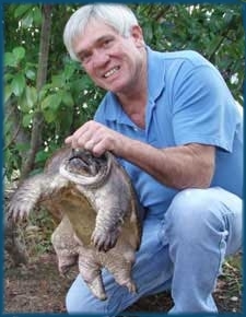 Whit Gibbons is author or editor of 11 books on herpetology and ecology and has published more than 200 articles in scientific journals.