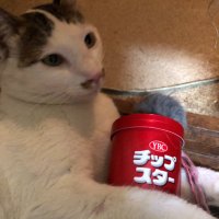 m@s (@s_makitan) 's Twitter Profile