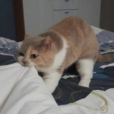 a_5038's profile picture. A boy who learned how to love🌹 | bookbm_