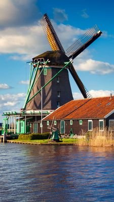 Yfz1HVTod5MKnDR's profile picture. 