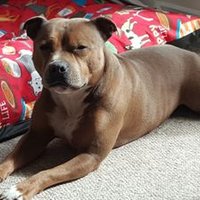 Neil Brown (@neilbrown56) 's Twitter Profile