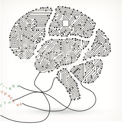 Neuroscientist at CSHL. Interests: neuroAI, molecular connectomics, & cortical circuits underlying decisions. Co-founder of Cosyne and NAISys meetings.