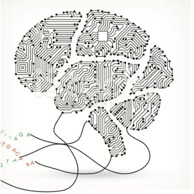 Neuroscientist at CSHL. Interests: neuroAI, molecular connectomics, & cortical circuits underlying decisions.  Co-founder of Cosyne and NAISys meetings.