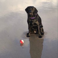 charlotte.canniff (@thecanniff) 's Twitter Profile