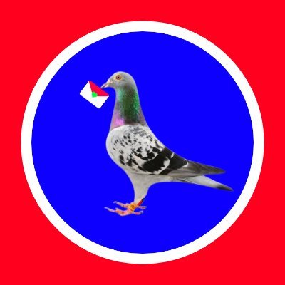 https://t.co/jl5yZZJCpr is a show that features the practices of various pigeon fanciers in the bangladeshi. It showcases tips on raising pigeons, from loft.....