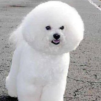 PhilipM75818972's profile picture. 