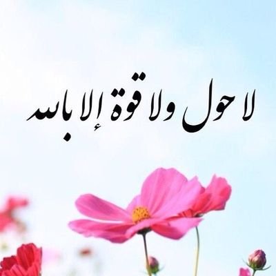 🌸