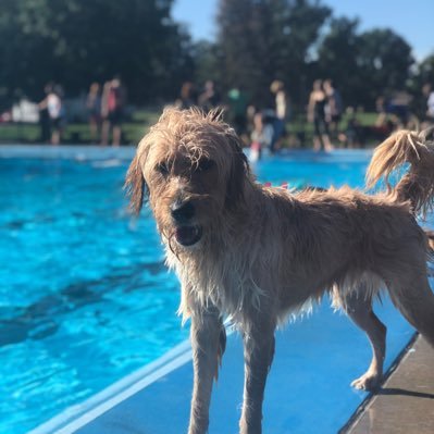 Kev16943282's profile picture. 