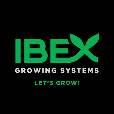 IBEX Grows