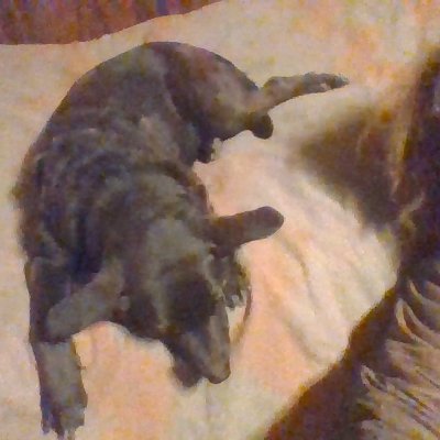 JohnWayneAct's profile picture. Acting, author, comedian, dancer, improvisationist, singer and theater performer.