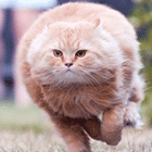 amdgigabyte's profile picture. 