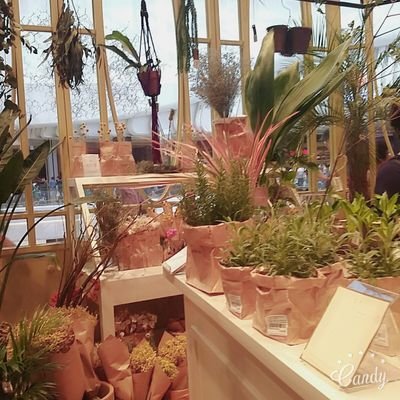 4R6sMZ9XLnj674u's profile picture. 꽃이 있는곳이 내가 서있는곳 내가 가는길이 꽃길이댜