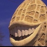 tiddy splice (@tiddysplice) 's Twitter Profile