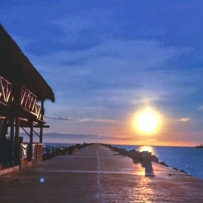 luisheer18akdow's profile picture. 