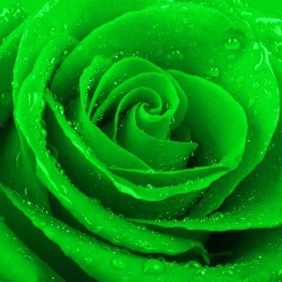 DerbyDiva6's profile picture. Love all things Green. Wannabe Ben Fogle. Medical-ish household. Call out nonsense. Probably a bit past this new tech stuff.