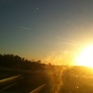 mgshaw13's profile picture. 