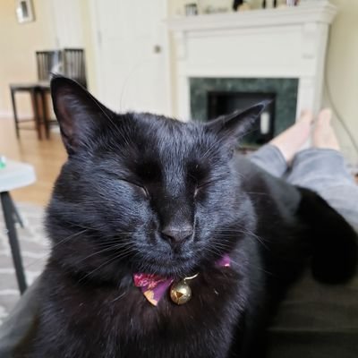 mayorofthecity's profile picture. 