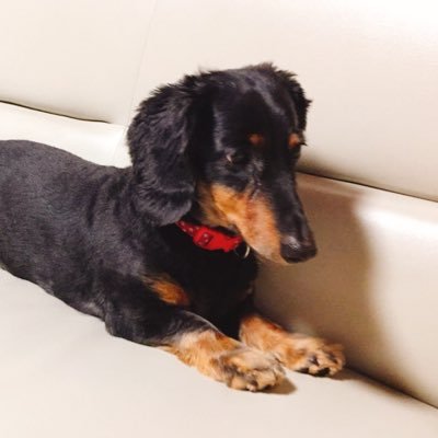 VXpV3ute8Y3QcsS's profile picture. 