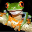 Adam Bowman - @AdmBomn - Twitter