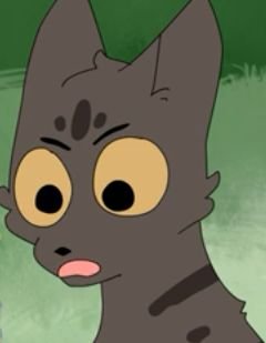 dustpeltbuilds's profile picture. mate to @cloudyferns 🍂 best camp builder 🍂 loving father of 7 🍂 awesome dude 🍂 pfp by moonkitti on yt