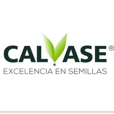 Excelencia en Semillas 🌱☘️ Representante exclusivo de Barenbrug en Uruguay 🇺🇾 - Instagram: @Calvase