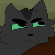 darklikeholly's profile picture. The Warrior Code is my life ✨ Proud Lesbian 👩‍❤️‍💋‍👩 Loving Sister 💖 | Icon by @fawnskip | Ran by @catsthatparty