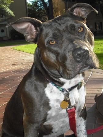 Morpheus5's profile picture. 