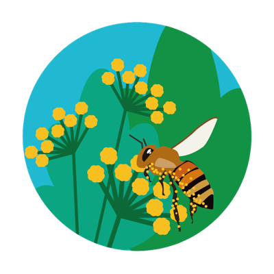 A card game to support learning in biology; a @UniofYork collaboration between the Depts of Biology, Education, & TFTI.
@CatastrophicCG on Hive Social