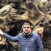 Alex Ferreiro (@alex_ferreiro) 's Twitter Profile