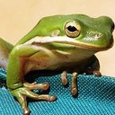 Edith Wirth - @norskeone - Twitter