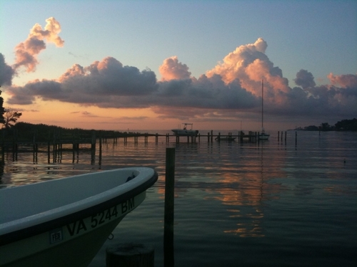 roryocon1's profile picture. America