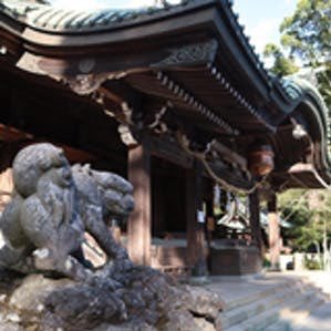 G_K_data's profile picture. データアナリスト